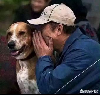 有哪些不同類型的蘿莉動漫？
