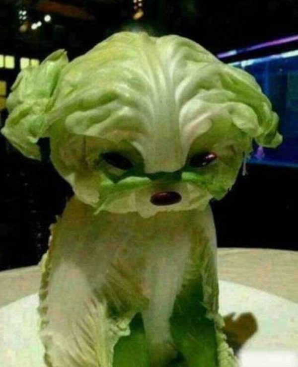 25個獲得爸媽破例允許「你一定要玩食物」的超神食物創作！