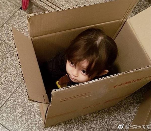她被網友稱為「世界上最美的寶寶」，3個月後「現在的模樣」讓網友都震驚