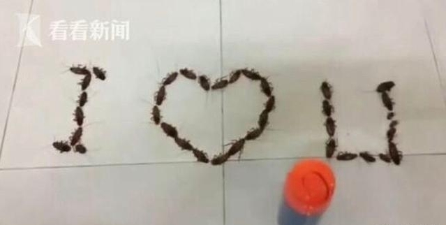 男子當街求婚女子，看見清鮮花後嚇得分手！