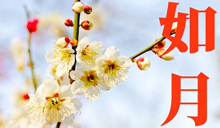 日本12月份月曆圖鑑：和歷月份名稱是怎麼來的？這份和歷圖健美呆了！(圖12張)