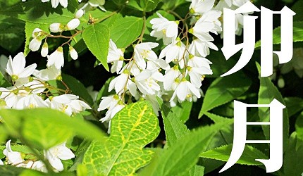 日本12月份月曆圖鑑：和歷月份名稱是怎麼來的？這份和歷圖健美呆了！(圖12張)