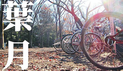 日本12月份月曆圖鑑：和歷月份名稱是怎麼來的？這份和歷圖健美呆了！(圖12張)