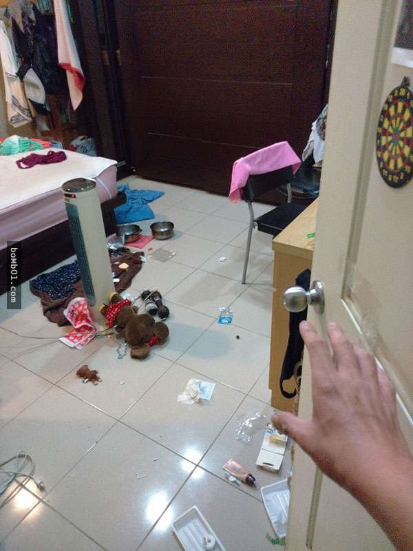 台灣插畫家把家裡養寵物的前後改變畫出來，每一張圖都會讓你深感共鳴！ 