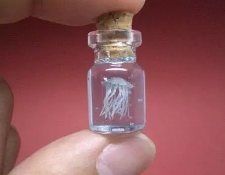 選一個你喜歡的小瓶子，測下半年你哪種好運會暴漲！  