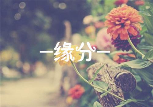 塔羅心測：你們有著怎樣的前世姻緣？才讓你們今生相遇 