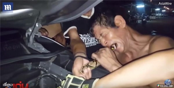 野生巨蟒纏住汽車引擎三小時遲遲不出，消防員很頭大！只好請來老師傅接手！沒想到他開始咬它！嚇壞了！