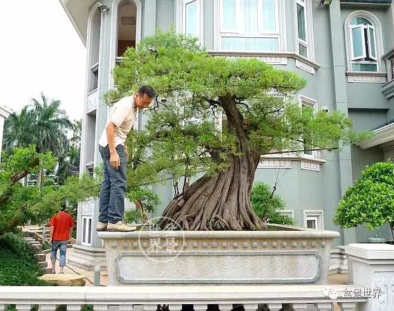 為什麼富豪喜歡「大老粗」？ 
