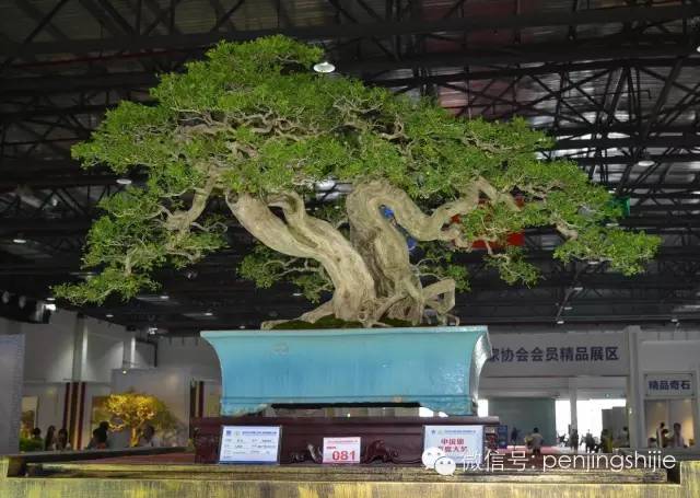為什麼富豪喜歡「大老粗」？ 