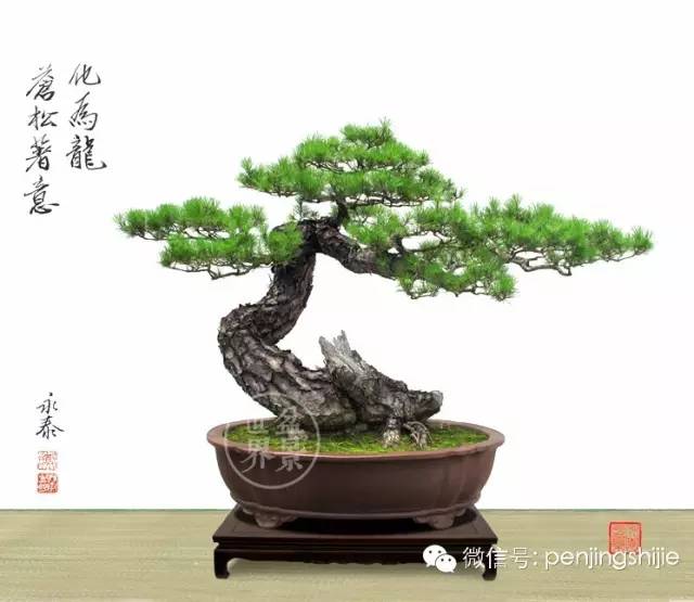 為什麼富豪喜歡「大老粗」？ 