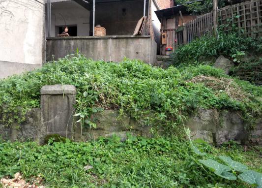 台灣90歲女軍官湖南尋親：老家烏鴉廟的親戚找到了！