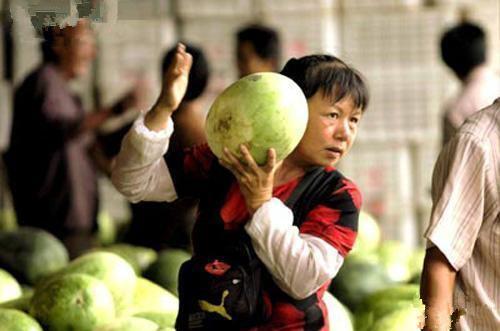跟農村老瓜農學會這4招，告別「白臉瓜」，挑西瓜不再求人 