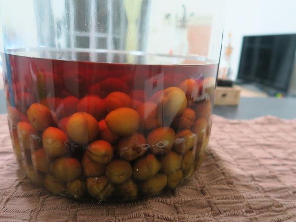 2分鐘學會自己做「梅酒」，酸酸甜甜好滋味！ 