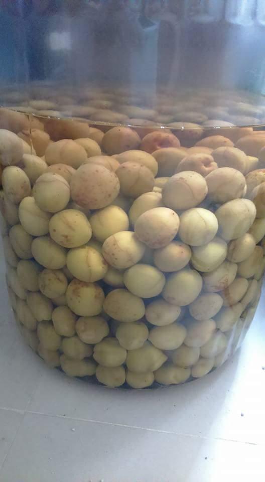 2分鐘學會自己做「梅酒」，酸酸甜甜好滋味！ 