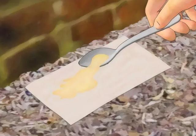 家裡發現「螞蟻」怎麼辦？不用擔心，教你「一招」不用殺蟲劑就能消滅牠們！ 