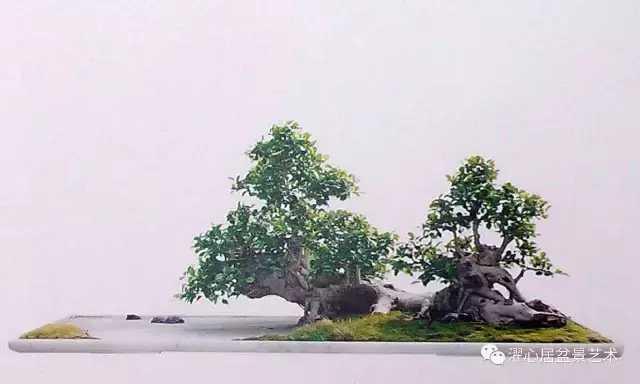 盆景藝術大師黃就偉作品欣賞