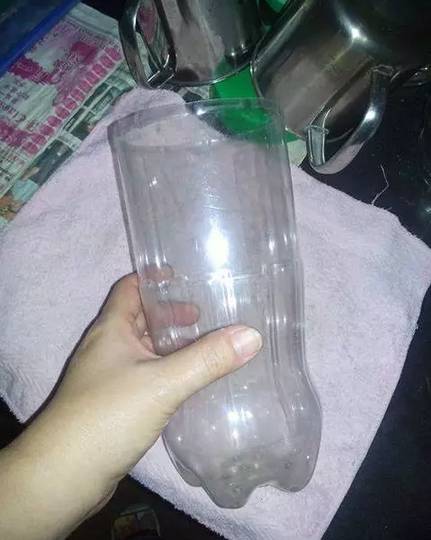 原來一個可樂瓶就能種出全家人吃的豆芽菜！關鍵還這麼簡單~ 