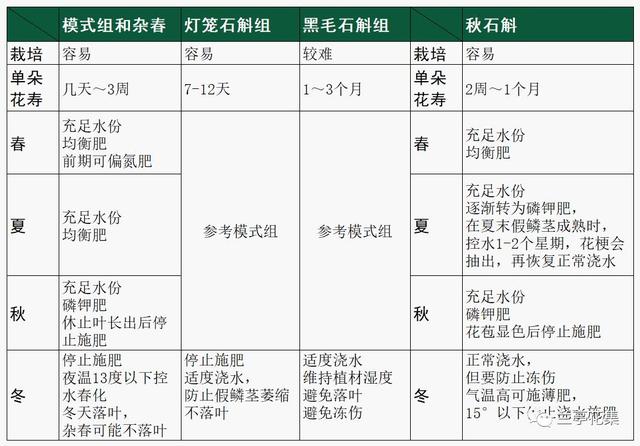 常見石斛的分類和管理對比，一目了然