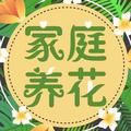 多肉怎麼養？只要注意幾個小細節就可以了：