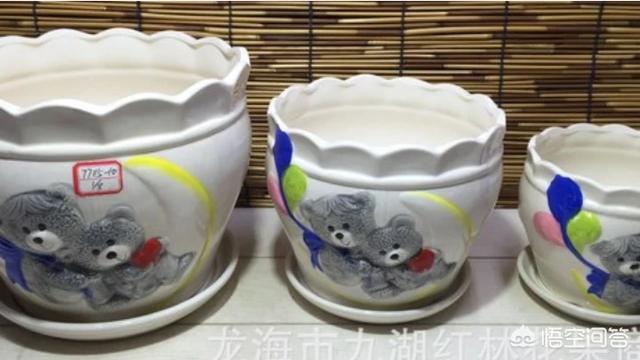 盆栽荷花怎麼種？具體操作步驟如下