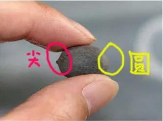 盆栽荷花怎麼種？具體操作步驟如下