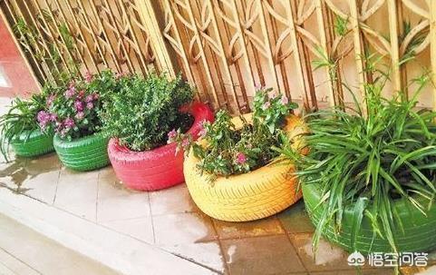 舊輪胎能不能種菜？ 安全嗎？