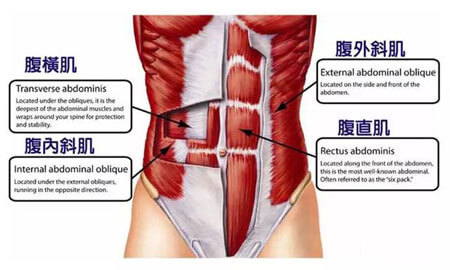 8個「瞬間噴汗爆油」的虐腹動作！堅持到底「腹肌、馬甲線」會找上你...快揪朋友一起動吃動～ 