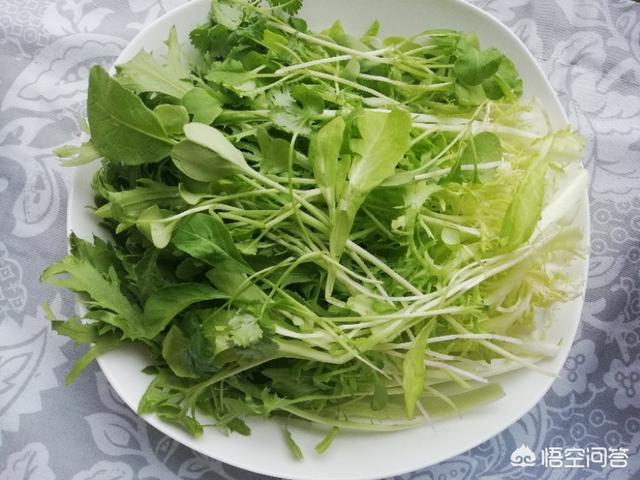 適合在陽台上種植的蔬菜有哪些，如何栽培蔬菜能夠既安全衛生又便捷？