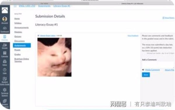 作業拖到最後一刻才交　上傳後點開預覽...哇靠是只貓