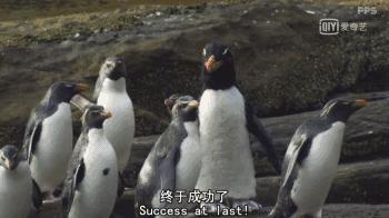 救救救救救救命啊！拍這種片不犯法嗎？萌我一臉血