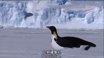 救救救救救救命啊！拍這種片不犯法嗎？萌我一臉血