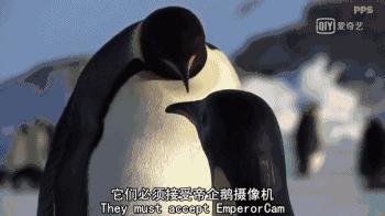 救救救救救救命啊！拍這種片不犯法嗎？萌我一臉血
