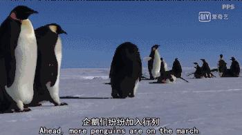 救救救救救救命啊！拍這種片不犯法嗎？萌我一臉血
