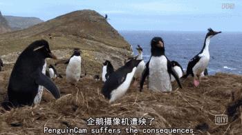 救救救救救救命啊！拍這種片不犯法嗎？萌我一臉血