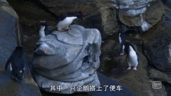 救救救救救救命啊！拍這種片不犯法嗎？萌我一臉血