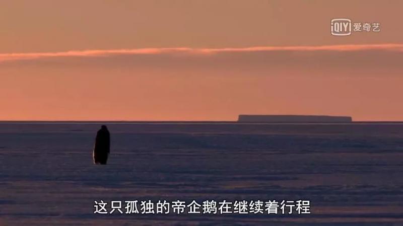 救救救救救救命啊！拍這種片不犯法嗎？萌我一臉血