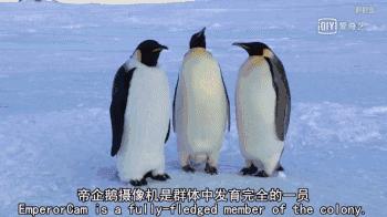 救救救救救救命啊！拍這種片不犯法嗎？萌我一臉血