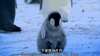 救救救救救救命啊！拍這種片不犯法嗎？萌我一臉血