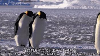 救救救救救救命啊！拍這種片不犯法嗎？萌我一臉血