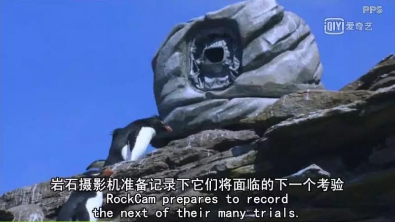 救救救救救救命啊！拍這種片不犯法嗎？萌我一臉血