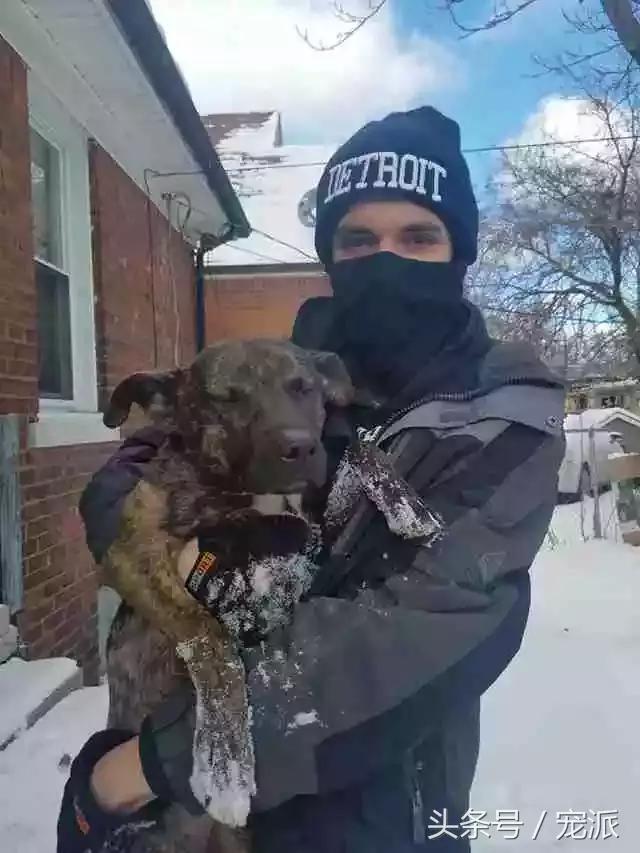 氣炸！這家主人居然把舊狗拴在暴風雪中凍著，和新狗在屋裡玩耍，良心去哪了呢？