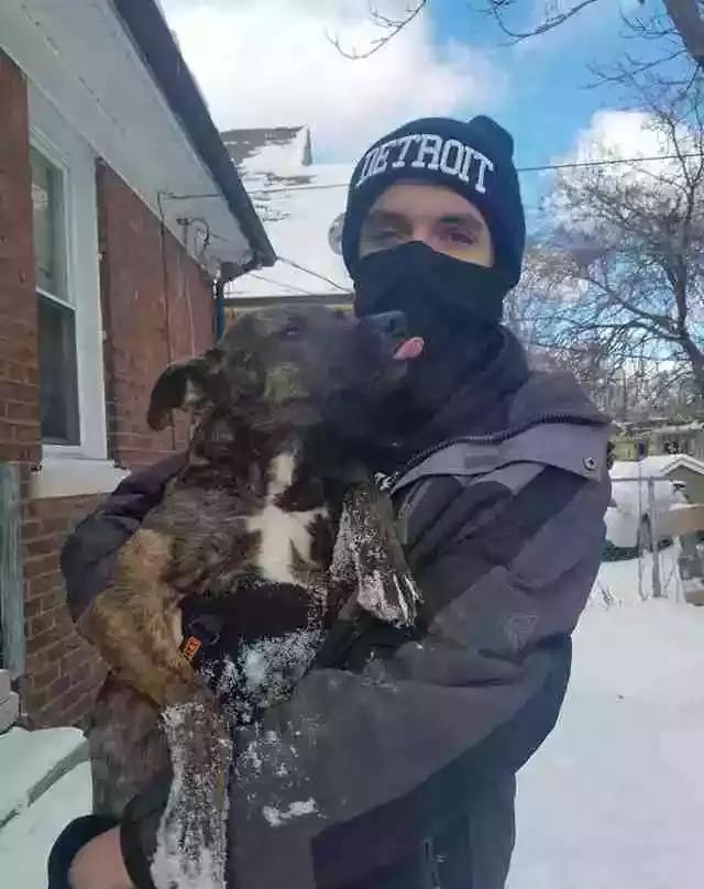 氣炸！這家主人居然把舊狗拴在暴風雪中凍著，和新狗在屋裡玩耍，良心去哪了呢？