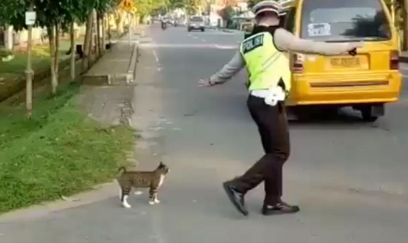 皇上要過馬路了！交警毫不猶豫上前「指揮車輛讓路」...畫面曝光網贊：太帥氣了！