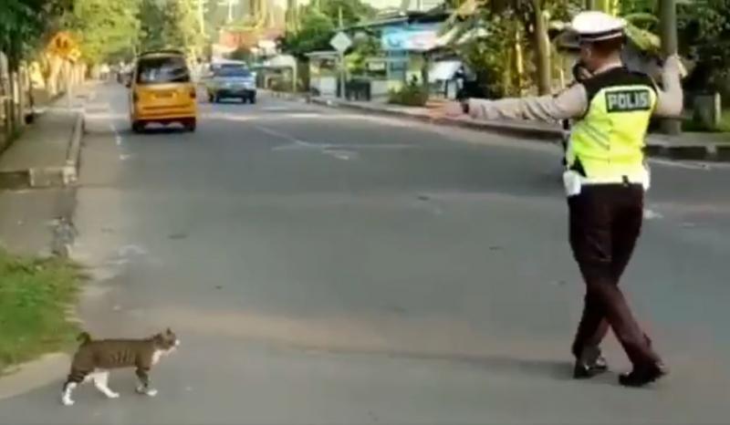皇上要過馬路了！交警毫不猶豫上前「指揮車輛讓路」...畫面曝光網贊：太帥氣了！