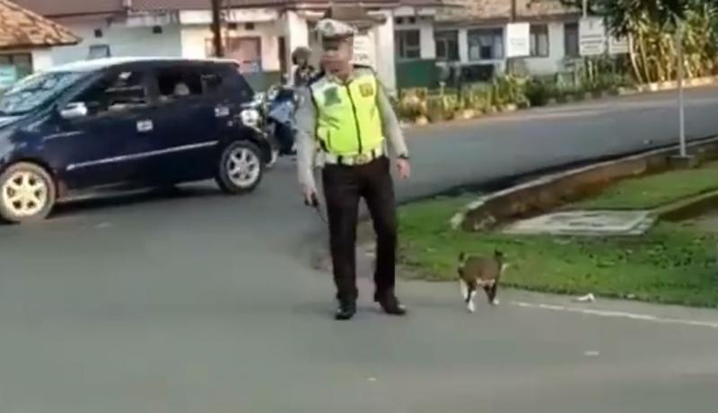 皇上要過馬路了！交警毫不猶豫上前「指揮車輛讓路」...畫面曝光網贊：太帥氣了！
