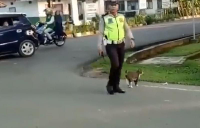 皇上要過馬路了！交警毫不猶豫上前「指揮車輛讓路」...畫面曝光網贊：太帥氣了！