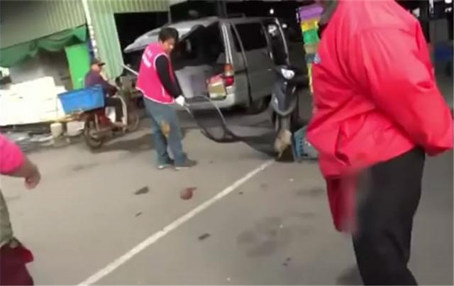 狗狗頭腫得像饅頭，救下來一看氣得想罵人