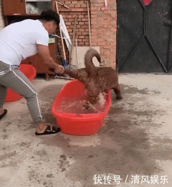搞笑GIF圖：妹子妳當街整理自己的短裙，看錯的人還以為妳要幹什麼！