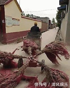 搞笑GIF圖：妹子妳當街整理自己的短裙，看錯的人還以為妳要幹什麼！