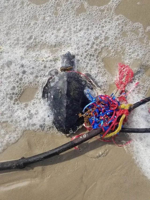 他們探勘世界最深的海底，拍下了這些令人從頭涼到腳的畫面...!